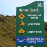 Muriwai Beach