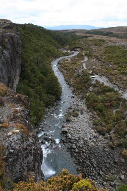 auckland_12_29_2006_10_35_55_am