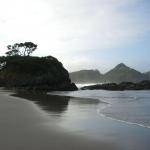 Great Barrier Island